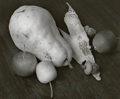 Stilllife for Di, West Boylston, Massachusetts 19971101