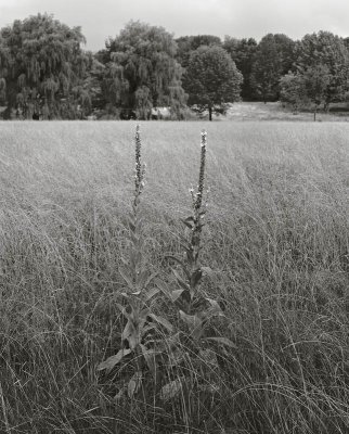 West Boylston, Massachusetts 20000701
