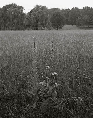 West Boylston, Massachusetts 20000702