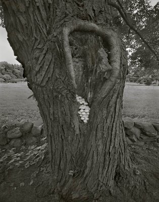 West Boylston, Massachusetts 20000901