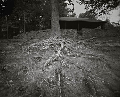 Holga, West Boylston, Massachusett 20000906