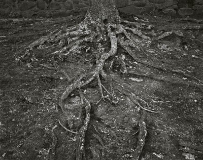 Holga, West Boylston, Massachusetts 20000907