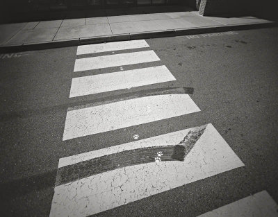 Holga, West Boylston, Massachusetts 20001001