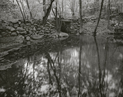 Holga, Sterling, Massachusetts 20001002