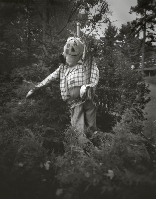 Holga, West Boylston, Massachusetts 20001005