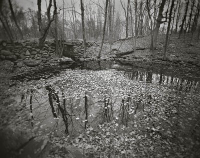 Holga, Sterling, Massachusetts 20001008