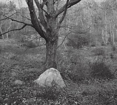 20020405 WorcesterCo MA.jpg