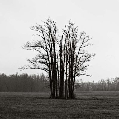 Red River County, Texas    20030106