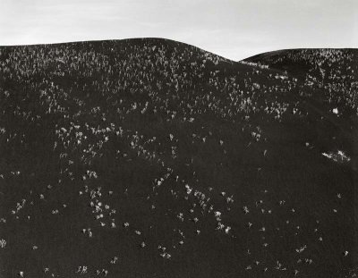 Cokedale, Colorado 20060603