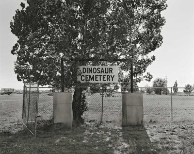 Dinosaur Cemetery, Dinosaur, Colorado    20070616