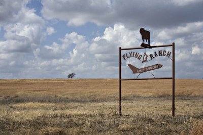 Bosque County. Texas 20080301-1292