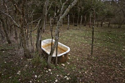 Coryell County, Texas     20080302-1422