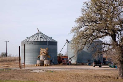 Guadalupe County, Texas    20090302-1641