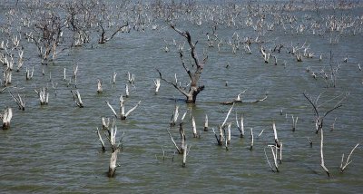 Lake Whitney, Texas 20090306-1936