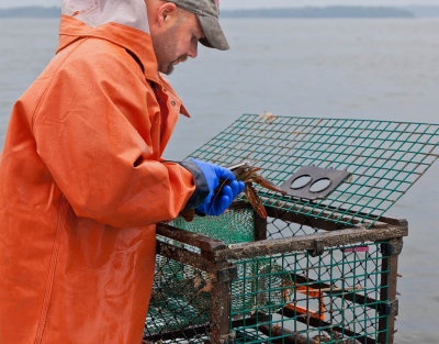 20120818-9795 Rick Casco Bay ME.jpg