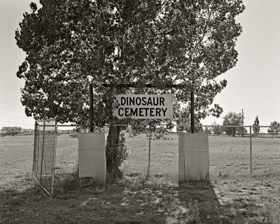 Dinosaur Cemetery, Dinosaur, Colorado  20070616