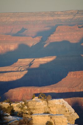 arizona