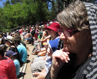 Watching the bird show at Healesville Sanctuary