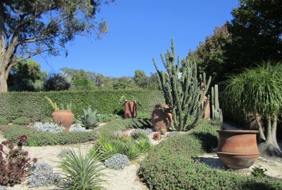 Cactus Garden