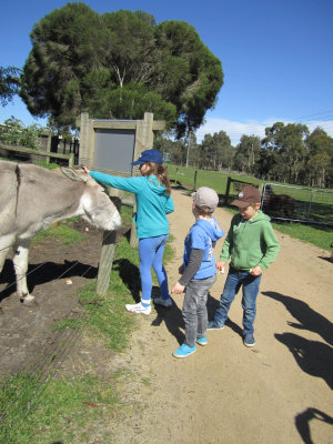 Phoebe patting the donkey