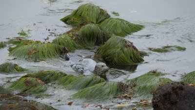 IMG_1303.jpg