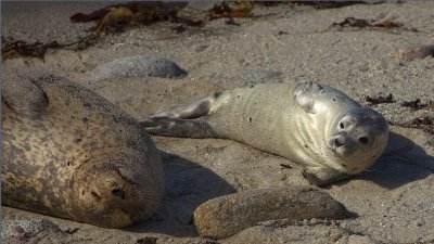 IMG_1368.jpg