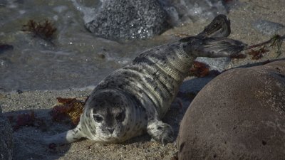 IMG_1355.jpg