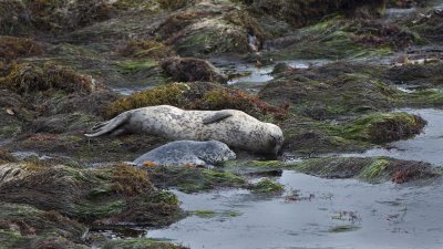 IMG_1382.jpg