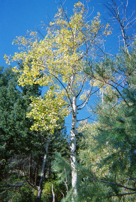 2007 - Autumn Adventure