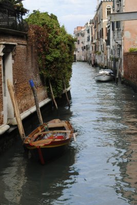 Canal dsert
