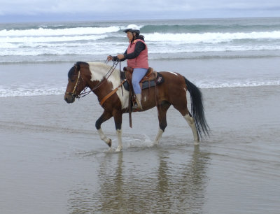 Frances and Paso Fino ex stallion, sire of Quincey and Shiloh