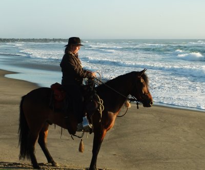 Quincey four year old paso fino