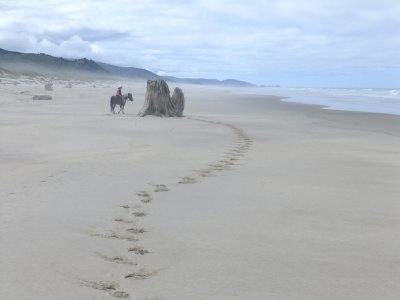 Nehalem Bay Ocean Side