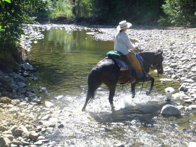 Shiloh crossing the west fork
