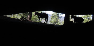 From in the cave