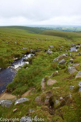 Heading towards West Mill Tor, looking back down the valley.