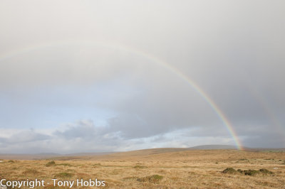 A cool and breezy walk on Dartmoor in October (2011).