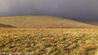A quick step through Dartmoor's hail and snow storm and sun.  13.12.11