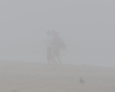 a foggy day at the beach 375.jpg