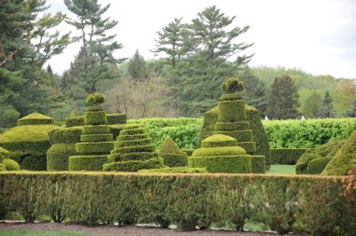 Longwood Garden Topiary 387.jpg