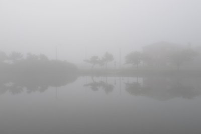 foggy morning 585.jpg