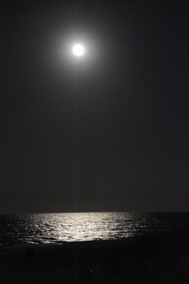 moon beam tonight 594.jpg