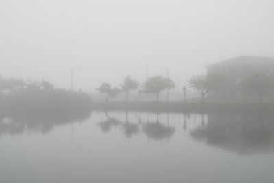 fog_makes_drama