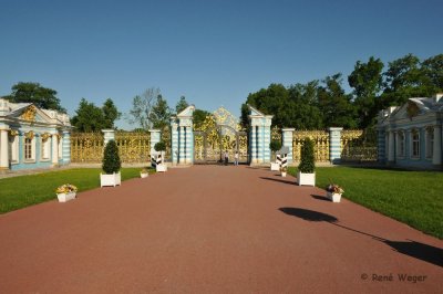 W11_2159.jpg