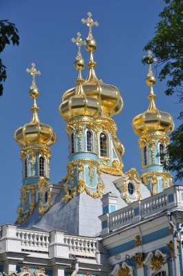 DSC_2362.jpg
