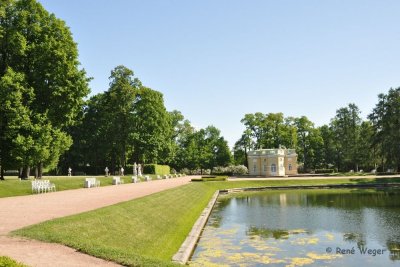 DSC_2332.jpg