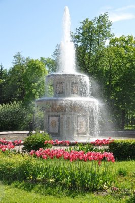 DSC_2671.jpg