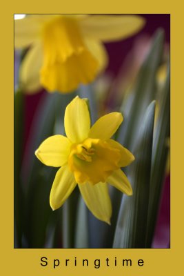 springtime