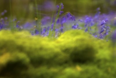 blue on green