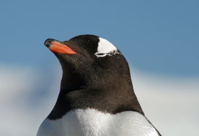 g4/72/1045972/3/143704325.YR7qrk8r.jpg